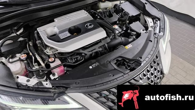 Lexus UX UX250h 2020 года - похожие автомобили