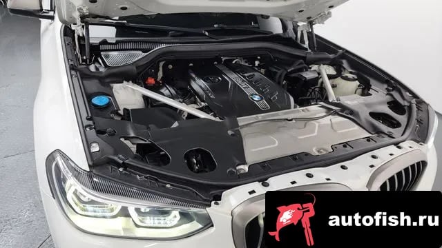 BMW X4 X4 (G02) 2019 года - вид 6