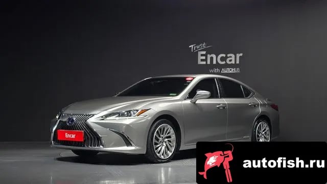 Lexus ES ES300h 7th generation 2020 года - вид 1