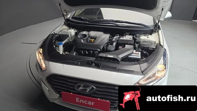 Hyundai Sonata Sonata New Rise 2019 года - вид 6