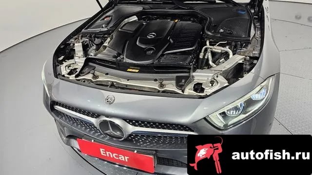 Mercedes-Benz CLS-Class CLS-Class C257 2019 года - вид 6