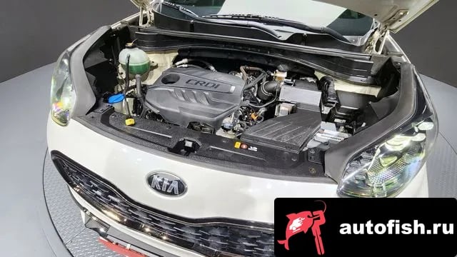 Kia Sportage Sportage The Bold 2018 года - вид 6