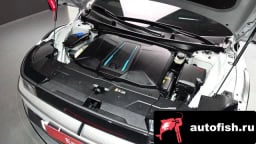 Миниатюра 6