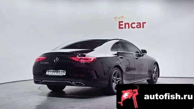 Mercedes-Benz CLS-Class CLS-Class C257 2020 года - вид 2