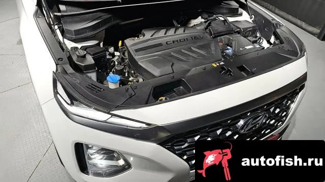 Hyundai Santafe San Tafe TM 2019 года - вид 6