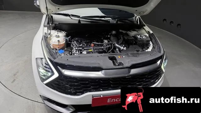 Kia Sportage Sportage 5th Generation 2024 года - вид 6