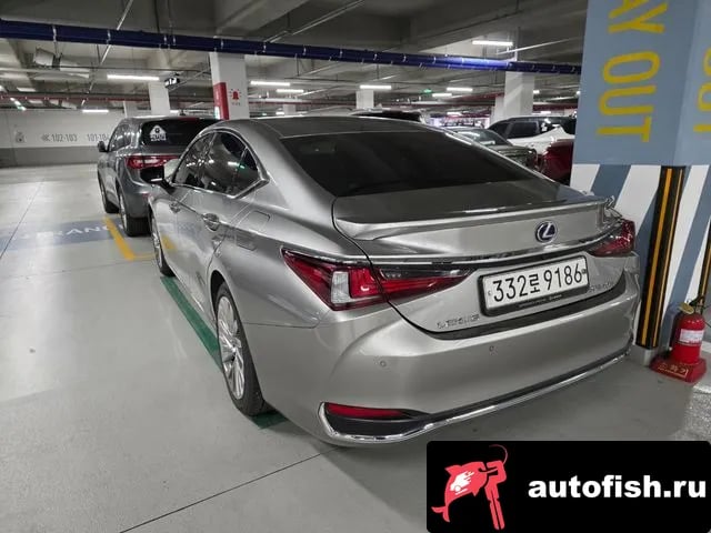 Lexus ES ES300h 7th generation 2020 года - вид 4