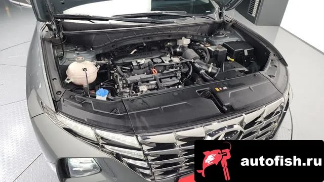 Hyundai Tucson Tucson (NX4) 2022 года - вид 6