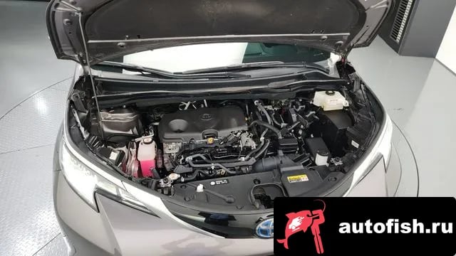 Toyota Sienna Siena 4th Generation 2021 года - вид 6