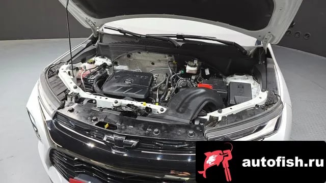 Chevrolet (GM Daewoo) Trailblazer Trailblazer 2021 года - вид 6