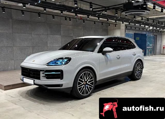 Porsche Cayenne Cayenne (PO536) 2024 года - вид 4
