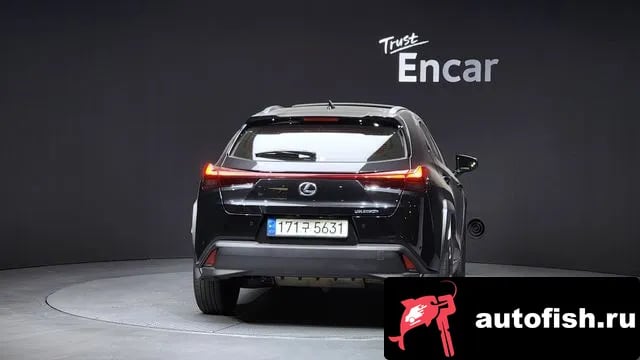 Lexus UX UX250h 2023 года - вид 4