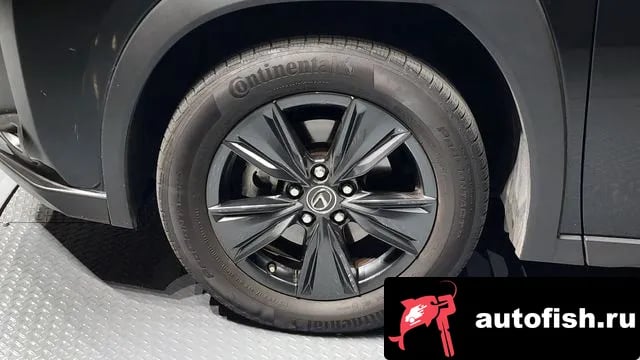 Lexus UX UX250h 2023 года - вид 5