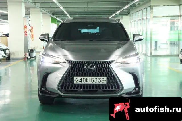 Lexus NX NX450h + 2nd generation 2022 года - вид 2