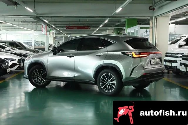 Lexus NX NX450h + 2nd generation 2022 года - вид 4