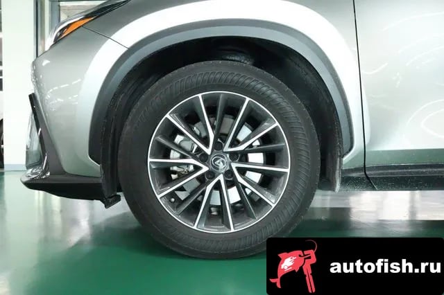 Lexus NX NX450h + 2nd generation 2022 года - похожие автомобили