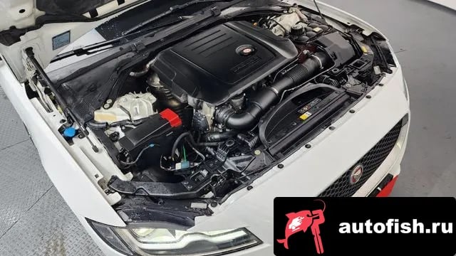 Jaguar XF XF (X260) 2019 года - вид 6