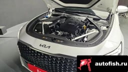 Миниатюра 6