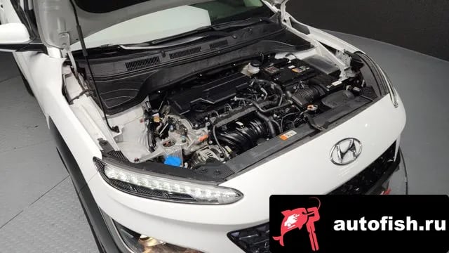 Hyundai Kona The New Kona 2022 года - вид 6