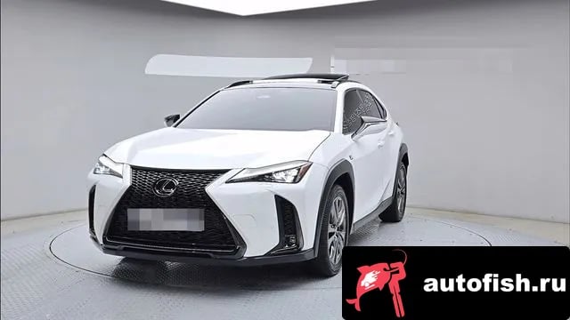Lexus UX UX300h 2024 года - автомобиль из Южной Кореи