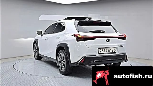Lexus UX UX300h 2024 года - вид 2