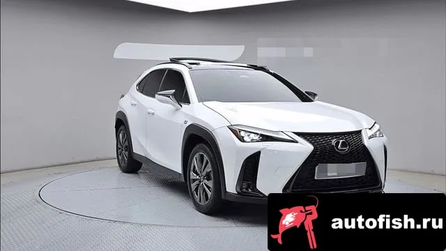 Lexus UX UX300h 2024 года - вид 3