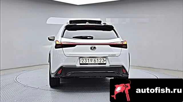 Lexus UX UX300h 2024 года - вид 4