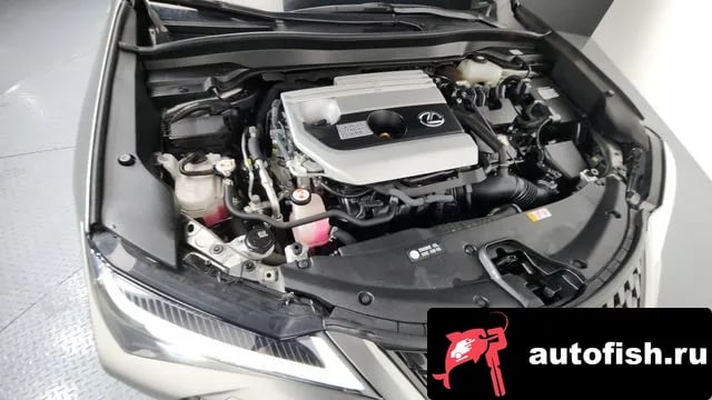 Lexus UX UX250h 2021 года - вид 6