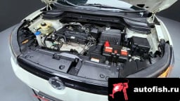 Миниатюра 6