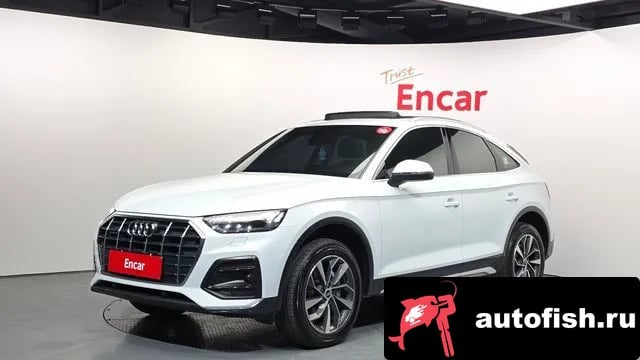 Audi Q5 Q5 (FY) 2021 года - вид 1