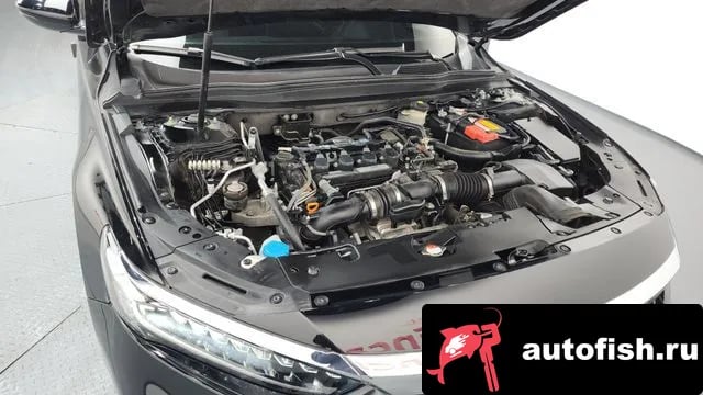 Honda Accord Accord 10th Generation 2019 года - вид 6