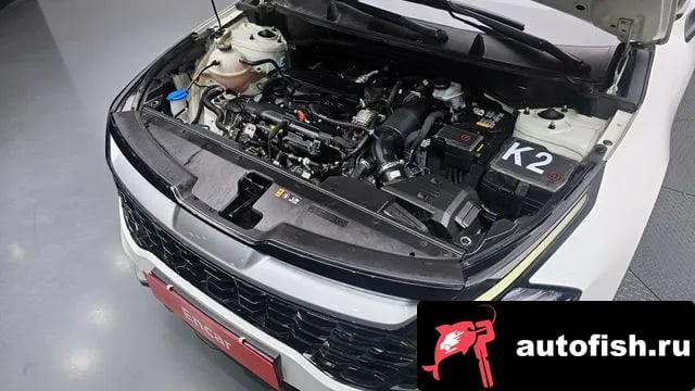 Kia Sportage Sportage 5th Generation 2024 года - вид 6