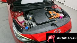 Миниатюра 6