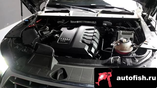 Audi Q5 Q5 (FY) 2020 года - вид 6