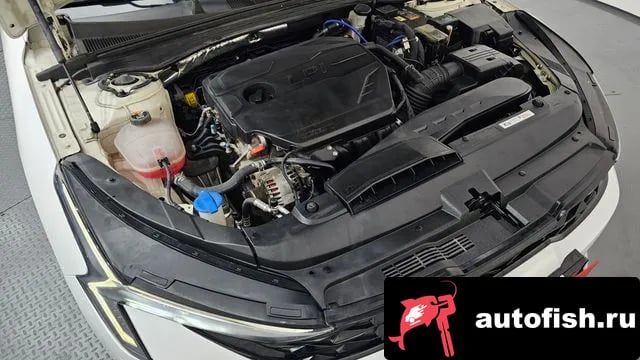 Kia K5 The New K5 3rd generation 2024 года - вид 6