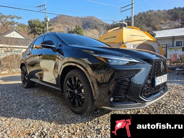 Lexus NX NX450h + 2nd generation 2025 года - вид 2