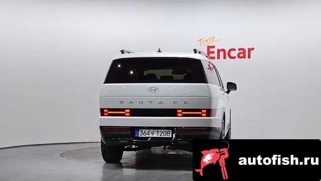 Hyundai Santafe San Tafe (MX5) 2024 года - вид 4
