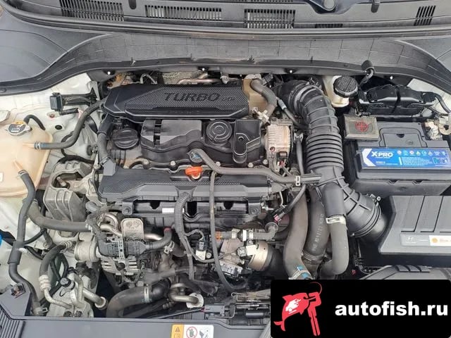 Hyundai Kona The New Kona 2022 года - вид 6