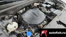 Миниатюра 6