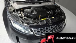 Миниатюра 6