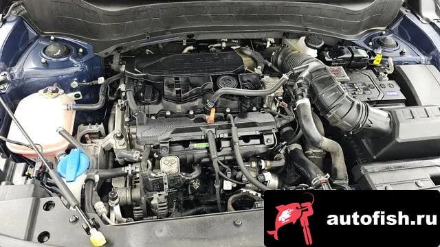 Kia Seltos The New Celtos 2024 года - вид 6