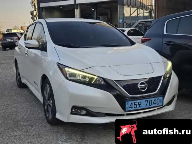 Nissan Leaf Leaf (ZE1) 2019 года - вид 2