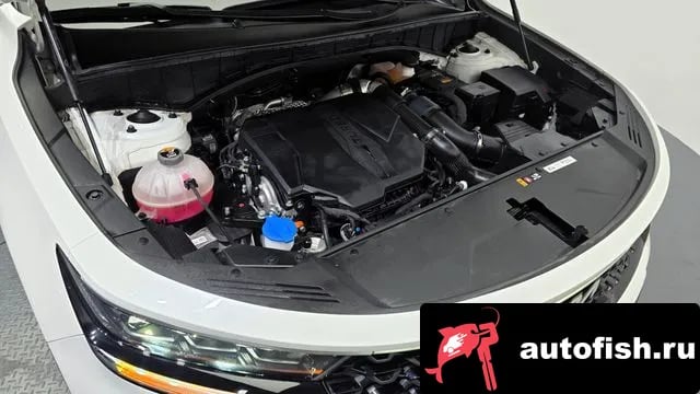 Kia Sorento Sorento 4th Generation 2023 года - вид 6