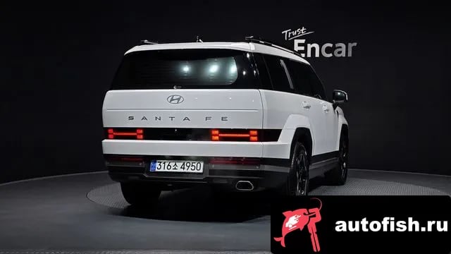 Hyundai Santafe San Tafe (MX5) 2024 года - вид 4