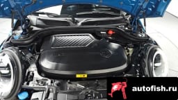 Миниатюра 6