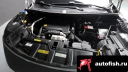 Миниатюра 6