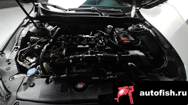 Honda Accord Accord 10th Generation 2019 года - вид 6