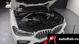 Миниатюра 6