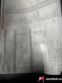 Миниатюра 4