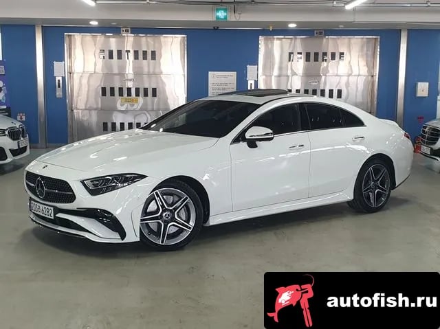 Mercedes-Benz CLS-Class CLS-Class C257 2023 года - вид 2